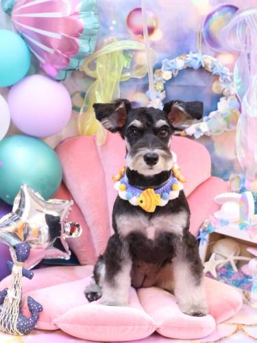 20240816音ちゃん